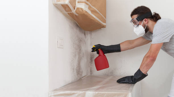 Professional Mold Testing technician working in Cedarhurst, NY